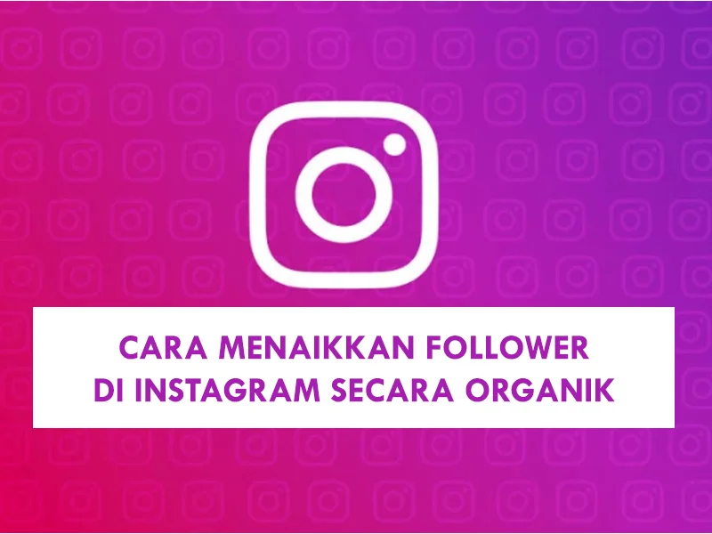 Tips Meningkatkan Followers Instagram Secara Organik Di 2024